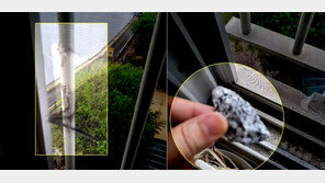 날마다 돌 날아오더니, 8층 방충망도 뚫었다…돌산 폭약 공사에 천안 아파트 벌벌