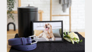  ㈜애반, 반려동물 상조 서비스 ‘애반라이프 상조’ 런칭