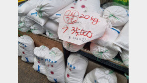 1만원짜리 중국 천일염→3만원 전라도산 둔갑시킨 일당 ‘재판행’