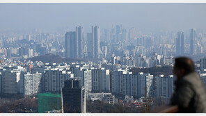 “신생아특례대출 영향 글쎄?”…떨어지는 매맷값, 치솟는 전셋값