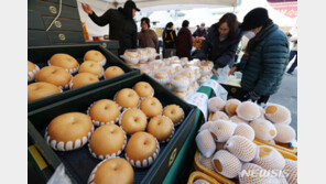 물가 6개월 만에 2%대…사과·귤 신선과일 28.5% ‘껑충’