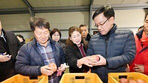 “사과·배 반값에 사세요”…정부, 설 농산물 할인지원에 100억원 더 배정