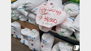 “국내산인 줄 알았는데”…중국산 천일염 60톤 속여 판 일당 기소