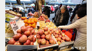 金사과… 설 앞두고 1개 7000원