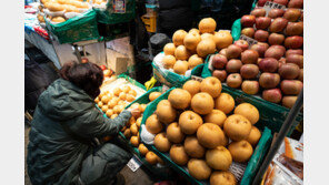 ‘사과 10개가 3만6천원’ 과일 가격 보다 ‘깜짝’ 놀란 시민들