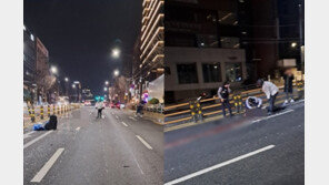 “사람 죽이고도 개 끌어안고 태연” 강남 20대 흰색 벤츠女 음주운전 분노