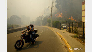 칠레 산불 사망자 51명으로…당국 비상사태 선포