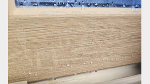 창문에 물이 줄줄 흘러…결로 현상은 100% 하자다? 