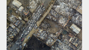 칠레, 대규모 산불 도심까지 번져… 최소 51명 사망