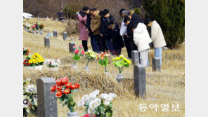 “조상님 미리 왔어요” 설 앞두고 이른 성묘 
