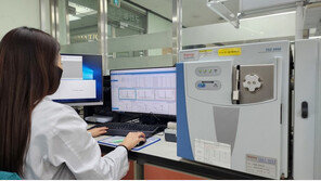 경기 대형마트 유통 쪽파 잔류농약 기준 5배 초과…압류·폐기 조치