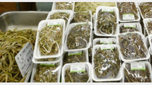 삶으나 데치나 무슨 차이…2억 7000만원 ‘고사리 전쟁’ 터졌다