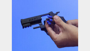 흉기 저항한 40대 트럭 도둑…10km 도주극 끝 실탄 맞고 잡혔다