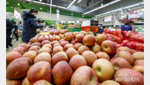 사과와 배, 함께 두면 안되는 이유…“과일 빨리 물러요”
