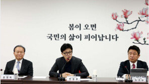 與, ‘경기·서울 리노베이션 TF’ 구성…한동훈 “민주, 입장 밝혀야”