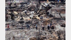 “핵폭탄 맞은듯”… 칠레 산불로 최소 112명 사망