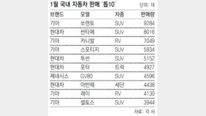 1월 국내 자동차 판매 ‘톱10’중 8개가 RV 