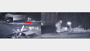 “키 내놓으라”며 여성 운전자 폭행하고 차량 탈취…잡히자 “내가 왜 그랬는지”