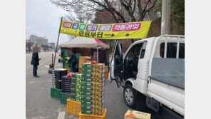 “사과 하나에 5000원”…장보기 두려운 설 명절