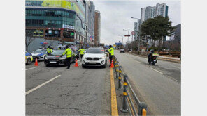 대낮 음주운전 5명 적발 …“설 연휴에도 상시 단속”
