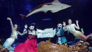 물속서 전하는 설 인사 