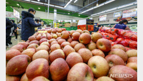 설 차례상 비용 31만원…10대 성수품 전년比 3.1% 낮아