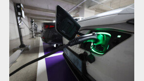 현대차 웃고 테슬라 울고…전기차 보조금 개편에 업계 ‘희비’