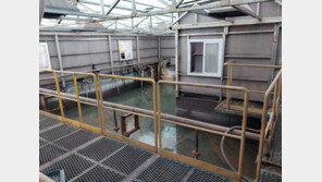 민주, 제철공장 노동자 사망에 “언제까지 목숨걸고 일해야 하나”