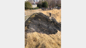도심 잔디밭에 불지른 뒤 불구경…60대 취객 체포