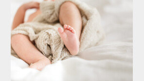 제부도 풀숲서 포대기 싸인 영아 시신 발견…남녀 긴급체포