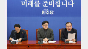 홍익표 “명품백을 명품백이라 부르지 못하는 빈껍데기 대담”