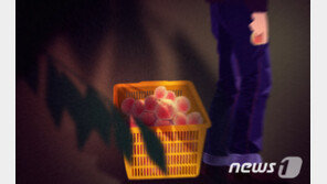 CCTV 없는 농가창고만 골라 범행…농작물 훔친 50대 검거