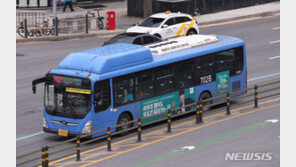 “아이 자리 안내준 게 큰 죄냐”…누리꾼 갑론을박