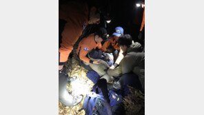 설 연휴 남편 묘소 찾은 80대 치매노인, 실종 8시간 만에 구조