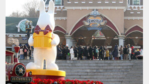 대구 이월드 롤러코스터 10여m 공중서 멈춰…탑승객 17명 무사