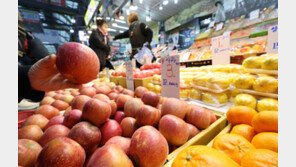 물가 견인 ‘천정부지’ 과일값…인플레 기여도 13년 만에 ‘최대’