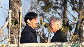 조국, 文만나 “창당”… 민주 “중도층 이탈 우려” 곤혹 