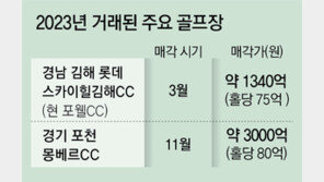 홀당 160억하던 골프장, 80억 ‘반토막’… 매각시장 찬바람에 中 투자자들 기웃 