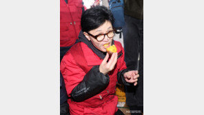 한동훈 “개혁신당은 위장결혼”…유승민 포용에 부정적