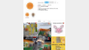 해양 경찰이 붕어빵 장사까지… 겸직 위반