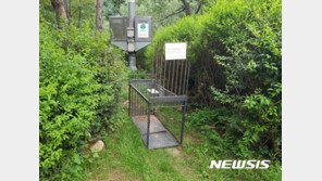 “등산할 때 ‘들개’ 조심하세요”…서울시, 집중포획 나선다 