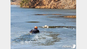 얼음 녹은 저수지에 빠진 강아지…소방대원이 무사히 구조