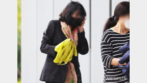 ‘법카유용 의혹’ 김혜경 수행비서 2심도 유죄… 징역형 집유