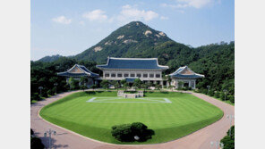 청와대 누적 관람객 500만명 돌파…개방 1년9개월만