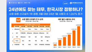 中 쇼핑 앱 ‘테무’ 무서운 성장…월간 사용자 459만명 5달만에 1261% 급증
