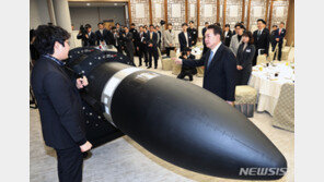 달착륙선 개발 등 우주시대 앞당긴다…‘한국판 디즈니’ 육성