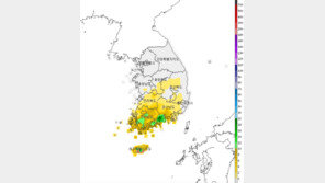 전국 목요일까지 비 최대 30㎜…‘2월의 봄’ 종일 따뜻