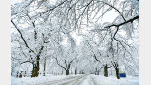 강원 영동 대설특보…산지 최대 15cm 폭설 또 내린다
