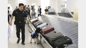베트남서 캐리어에 마약 밀반입, 실형…적발되자 ‘줄행랑’