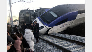 ‘KTX 탈선’ 과징금 6억 코레일에 부과했지만…법원 “안내도 된다”